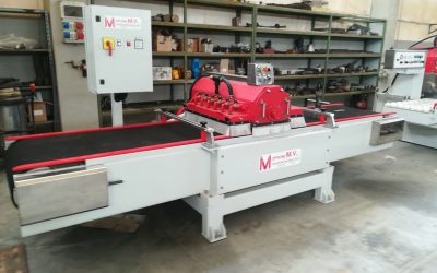 RMV 600 multi-disc edger